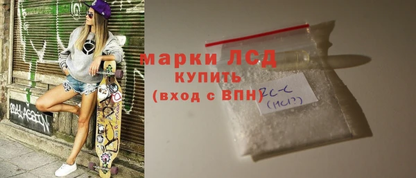 индика Беломорск