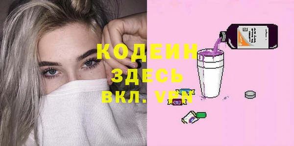индика Беломорск