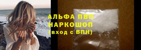 a pvp Белокуриха