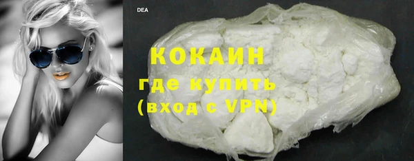 индика Беломорск