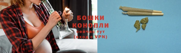 индика Беломорск