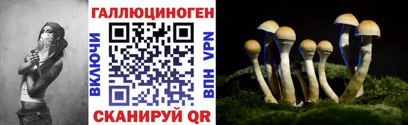 Галлюциногенные грибы Psilocybine cubensis Бор